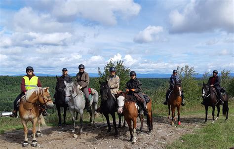 Maison, plein air et équitation Cheval .